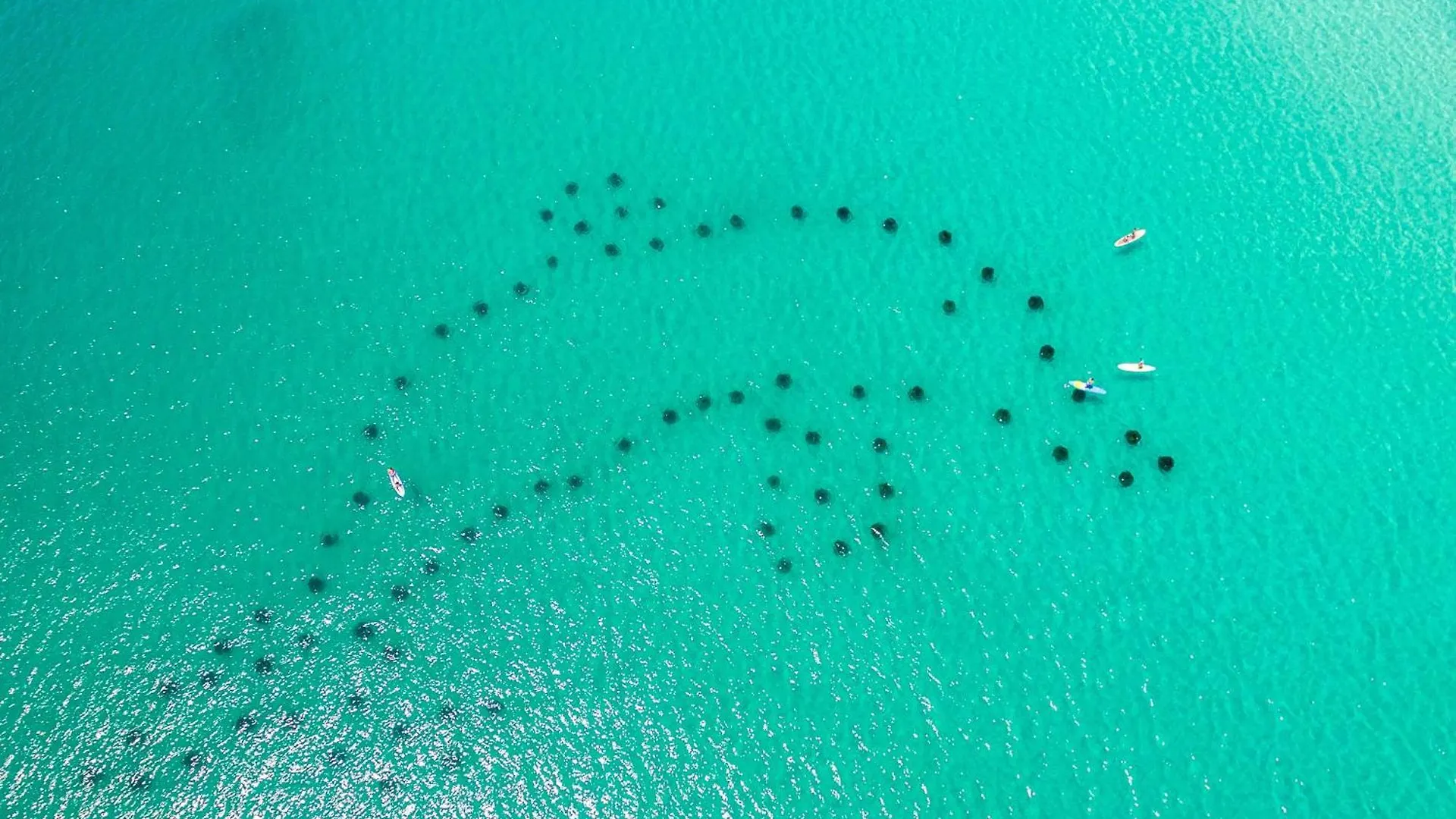 Inlet Reef 102- By Holiday Isle Properties Destin United States