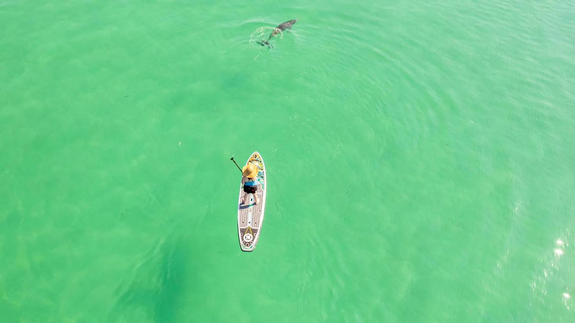 Inlet Reef 102- By Holiday Isle Properties Destin 0*,  United States